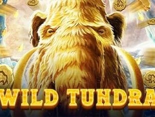 Wild Tundra thumbnail